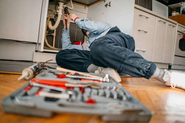 Best Local Plumber Services  in Martinsburg, PA
